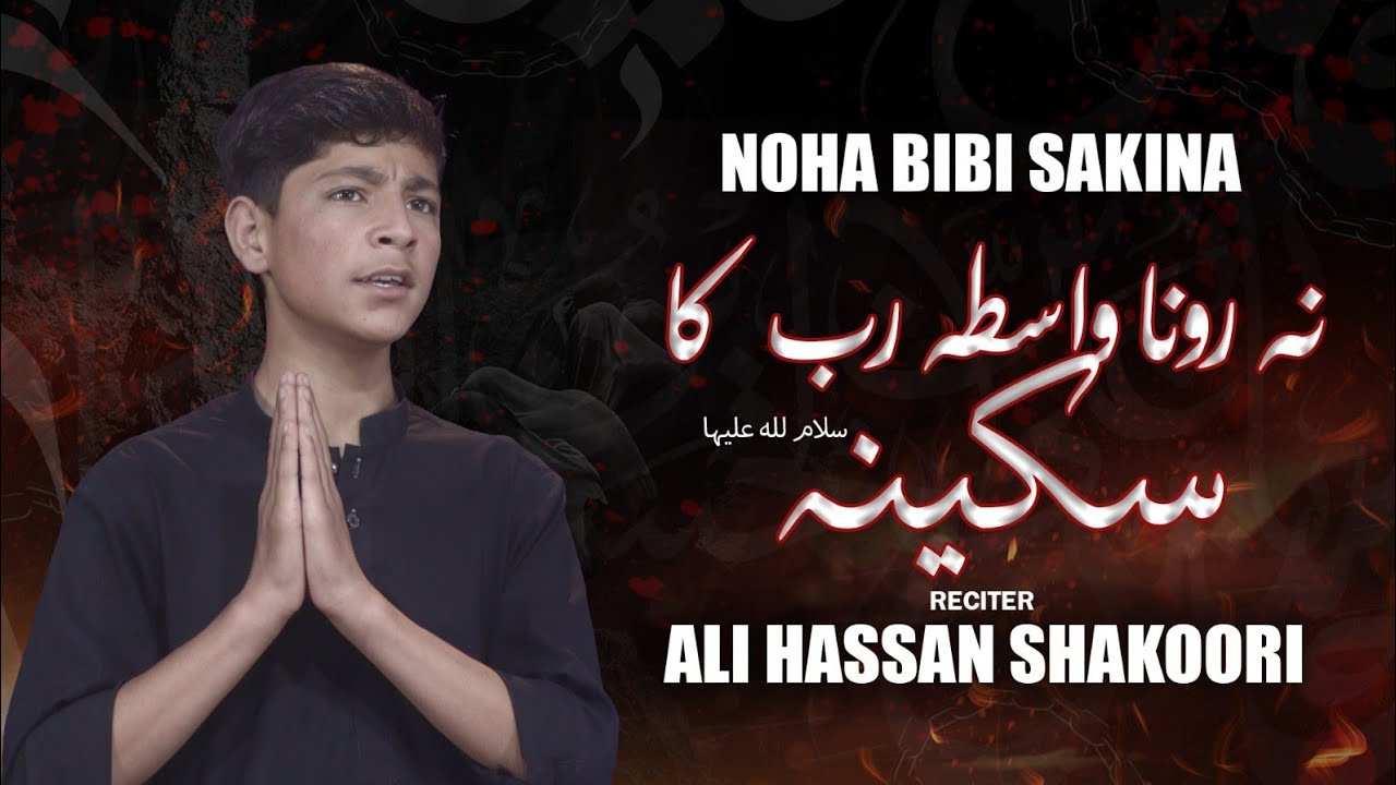 New noha2025||نہ رونا واسطہ رب کا سکینہ||Ali  Hassan shakoori||