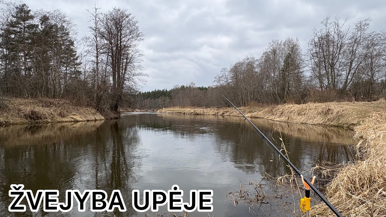 Geriausias Būdas Pagauti Šapalą su Batonu #27
