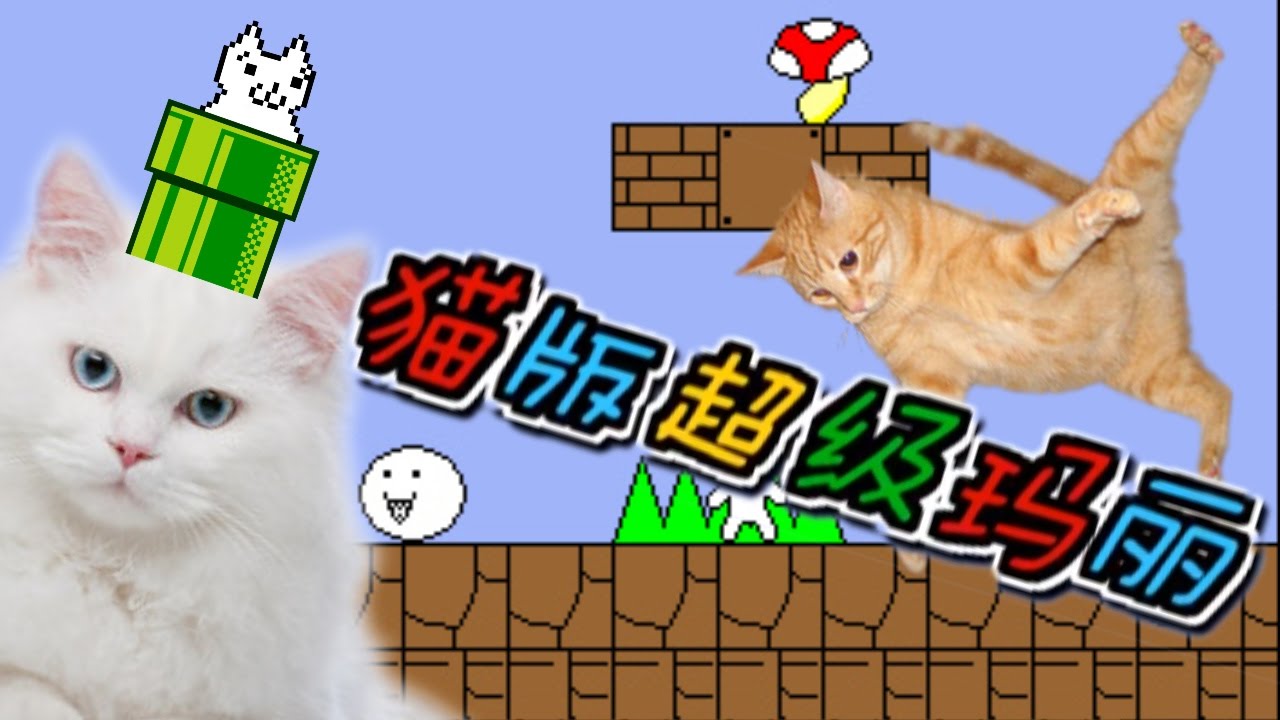 EL GATO M&Aacute;S JOPUTA DEL MUNDO | CAT MARIO vs VICIOSIN