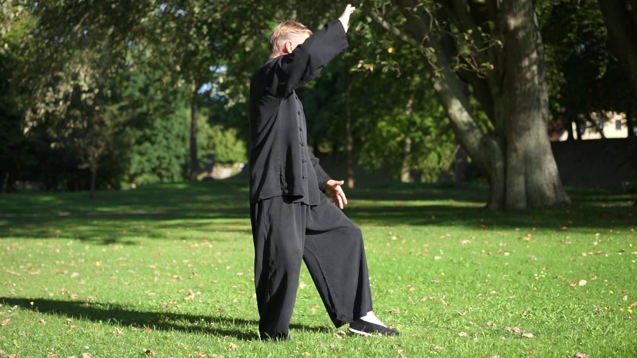 Tai Chi Chuan Langsom Form 2