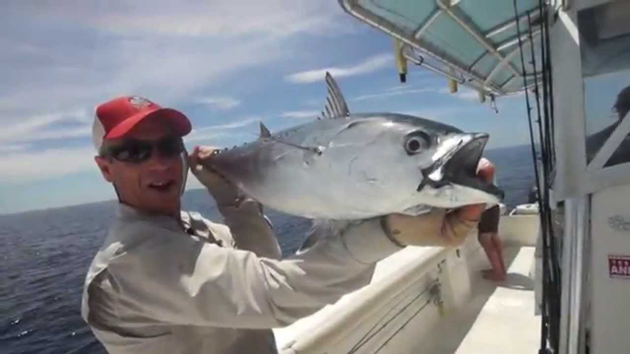 Nautilus CCF X2 Reels | Interview with Reel Designer Kristen Mustad