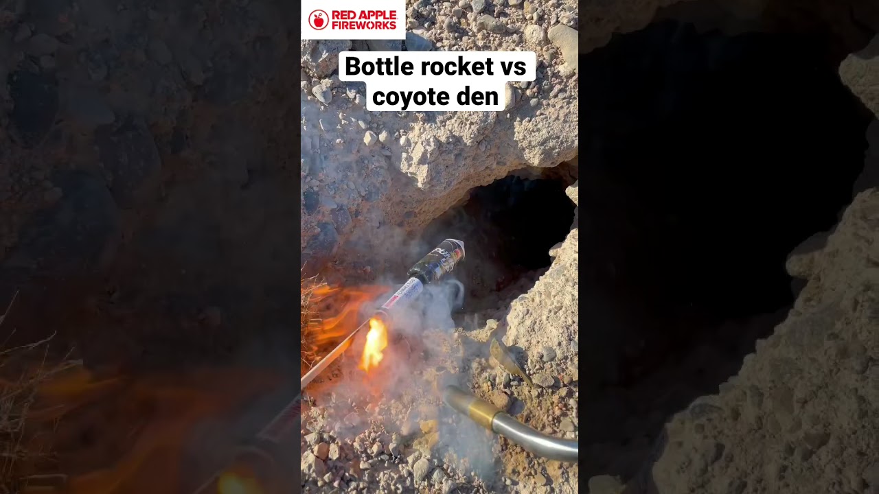 Bottle rocket vs coyote den