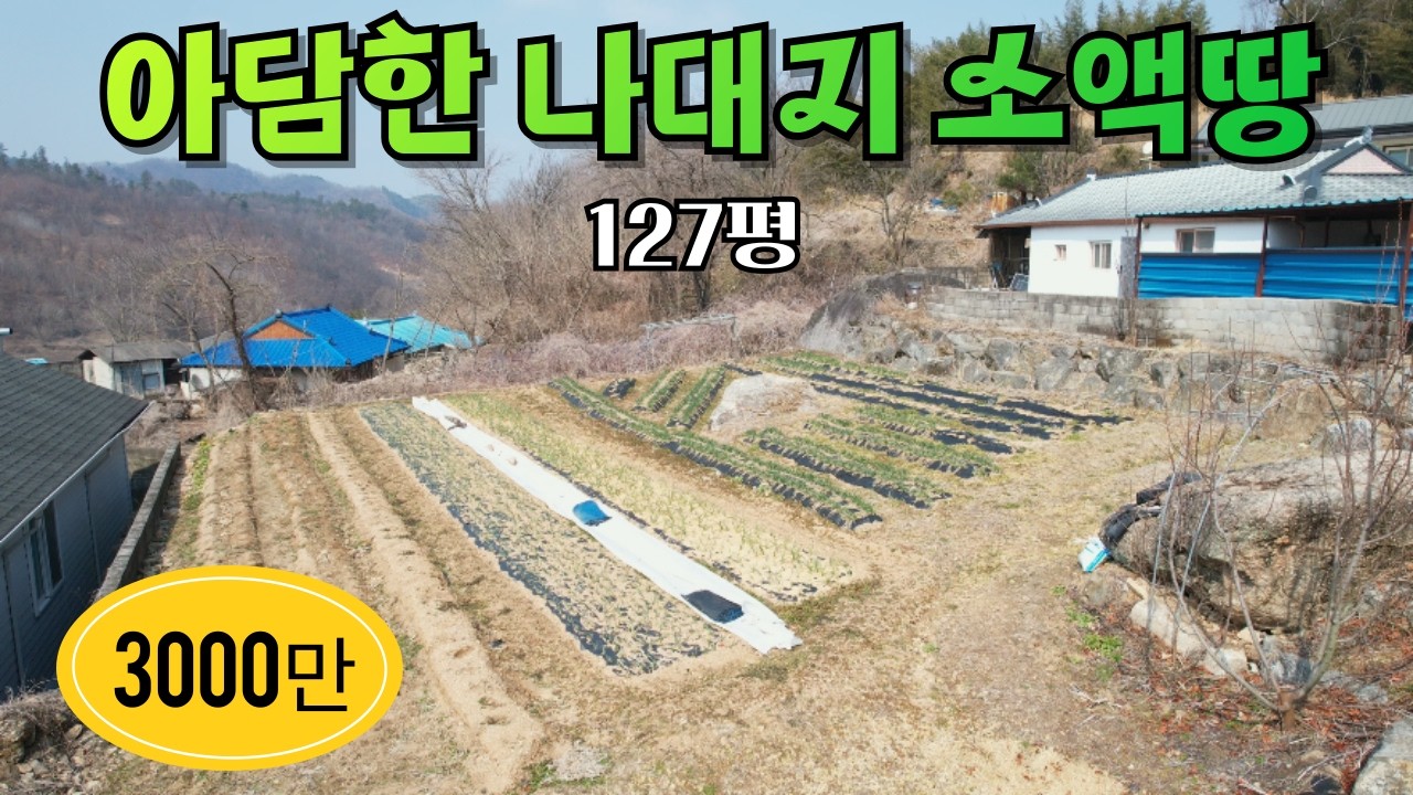 ★매물번호10696★충북 옥천/3000만/아담한 나대지 소액땅/청산면소재지10분/127평 시골땅/청정 지역/농막놓기,주말농장,시골집 짓기