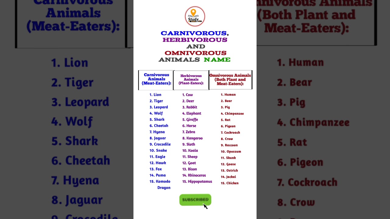 15 Carnivorous, Herbivorous & Omnivorous animals name | #animalsname #shorts #viral #trending​​