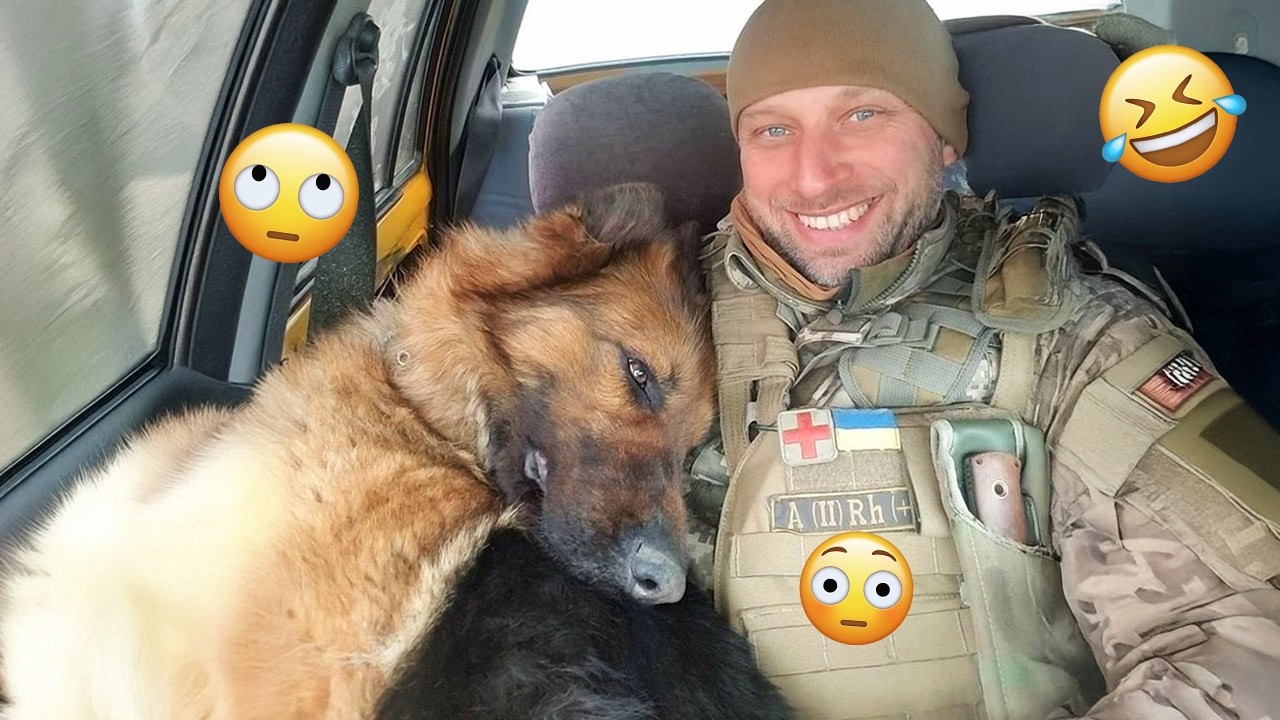 I'm 101% SURE that you will LAUGH EXTREMELY HARD- Funny Dog 2026 #283