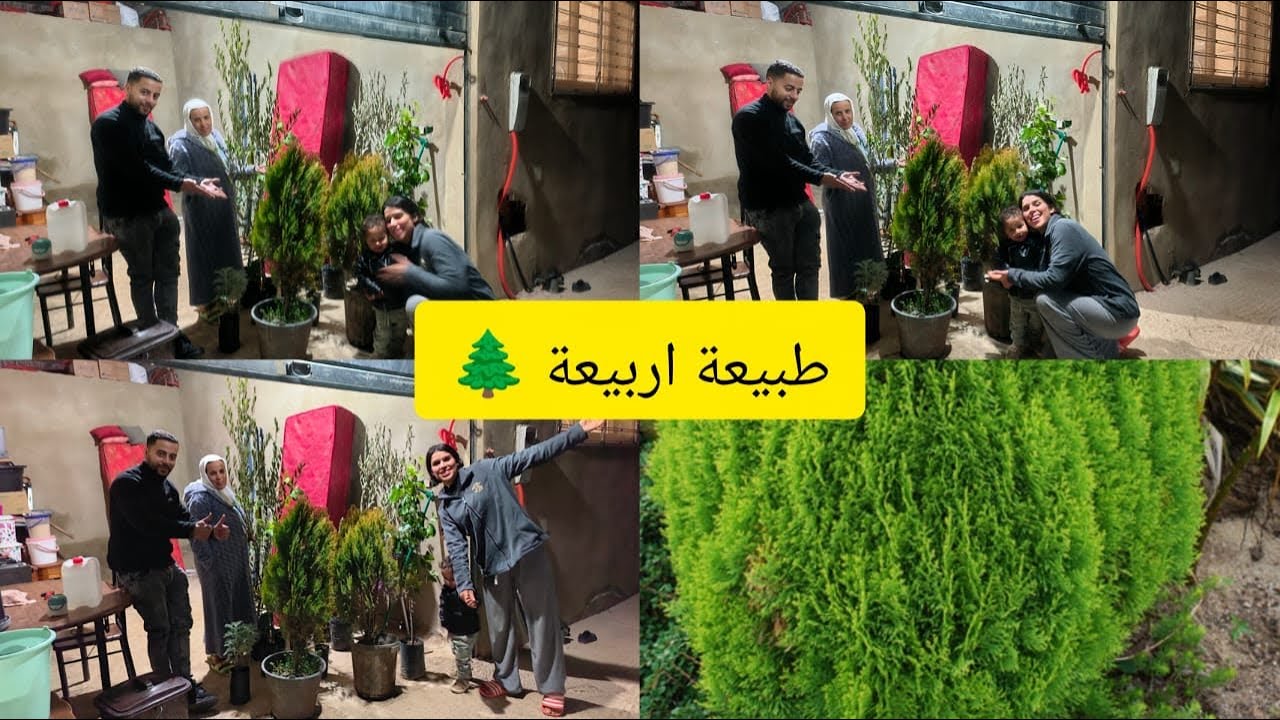 كولشي درنالو الخاطر🤲🏻 زيتون🫒  حامض 🍋‍🟩 الورد 🌹 وحتى المزاح 🍑جريدة وجدات  مقدنا فرحةً