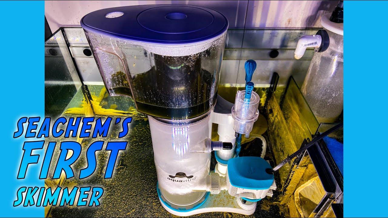 Aquavitro Division Skimmer Review - A Practical & Flexible Design for a Wide Range of Tanks