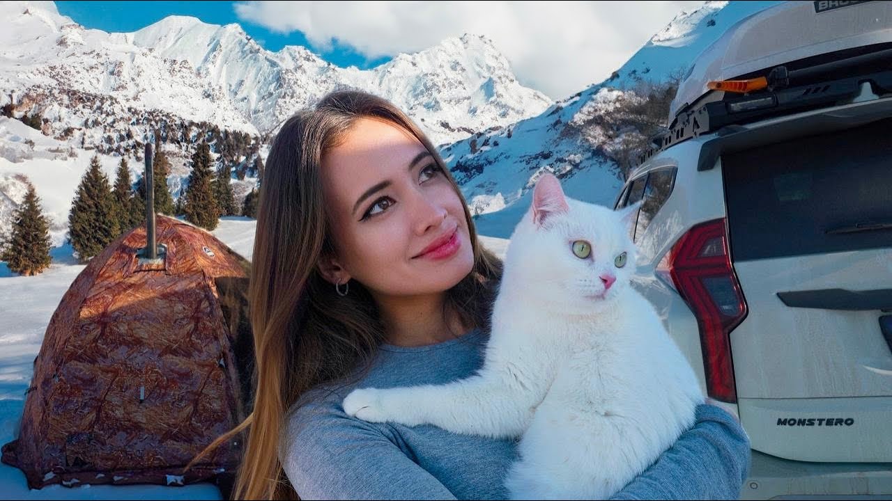Solo Winter Camping with My Cat | Met a Goose, Hot Tent & Cold Night