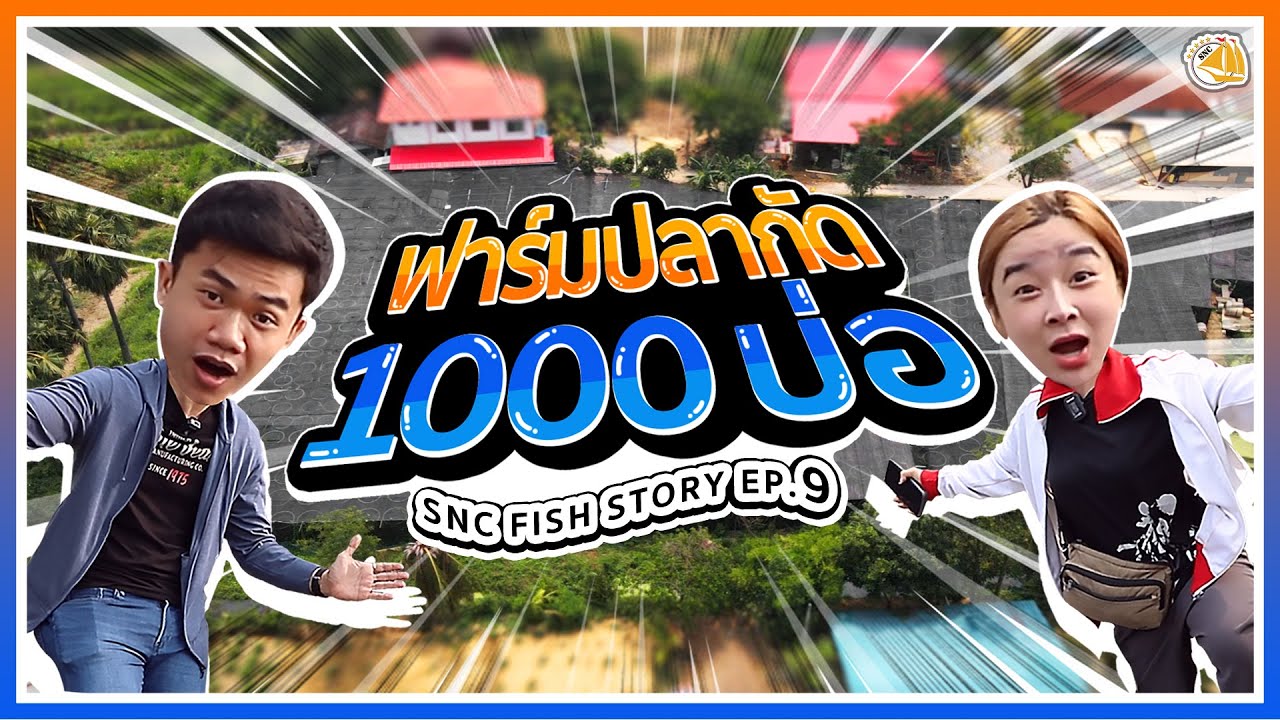 ฟาร์มปลากัด1,000บ่อ(ปลากัดเลือดนักสู้)-SNC FISHSTORY EP.9