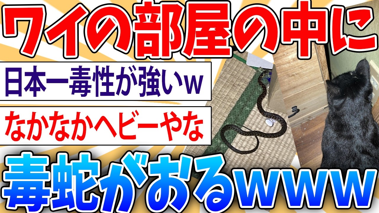 【緊急】ワイの家、ヘビに支配される【2ch面白いスレ】