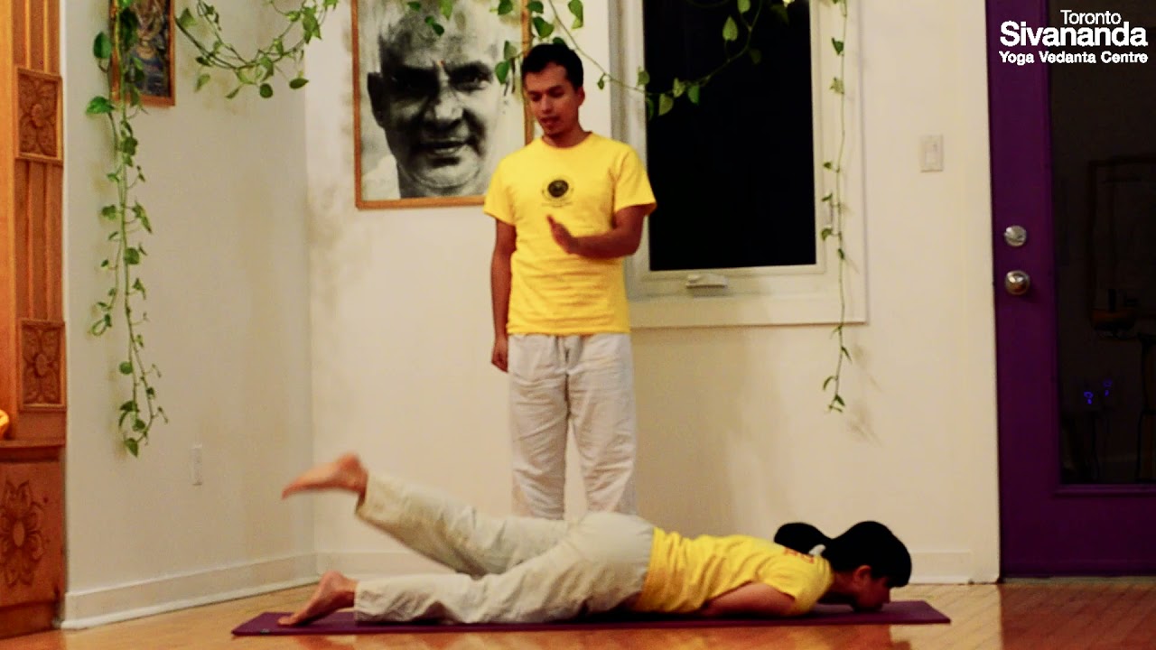The Locust (Salabhasana)