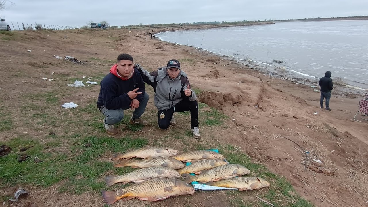 PESCA RIO SALADO ROQUE PEREZ 2025 MUCHOS CARPONES #pesca #carpas #riosalado #suscribete #carpfishing