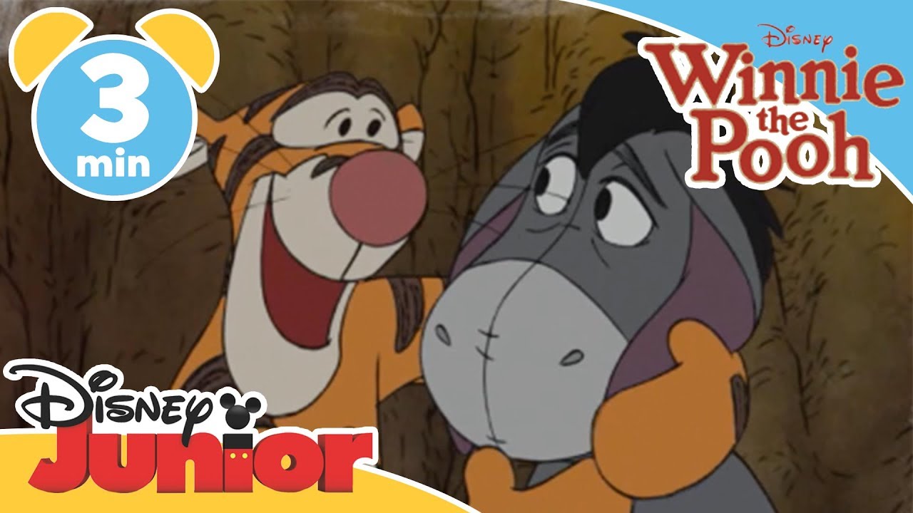 Mini Adventures of Winnie The Pooh | Tigger and Eeyore | @disneykids