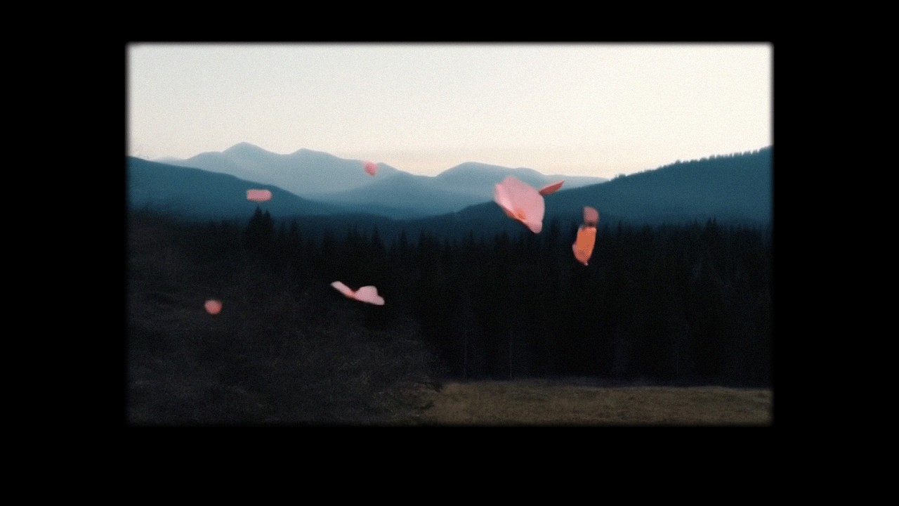 Dustin Tebbutt - Colours (Official Video)