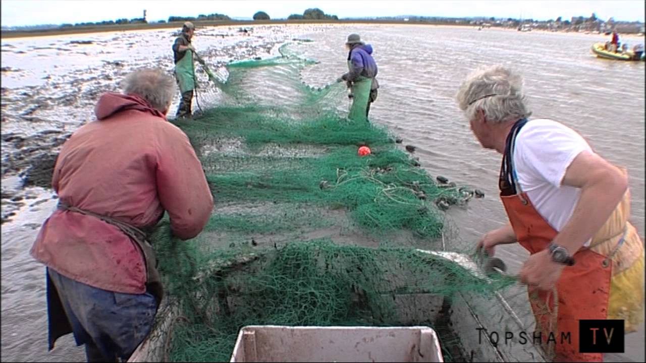 River Exe Salmon fishing with Show of Hands accompaniment, 'Roots'