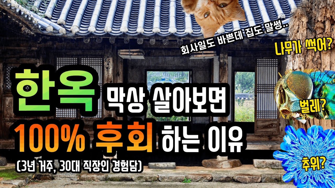 한옥살이 3년차 한옥로망 산산이 부숴진 이유? 매매시 필수시청! 그럼에도 살면 좋은 이유!