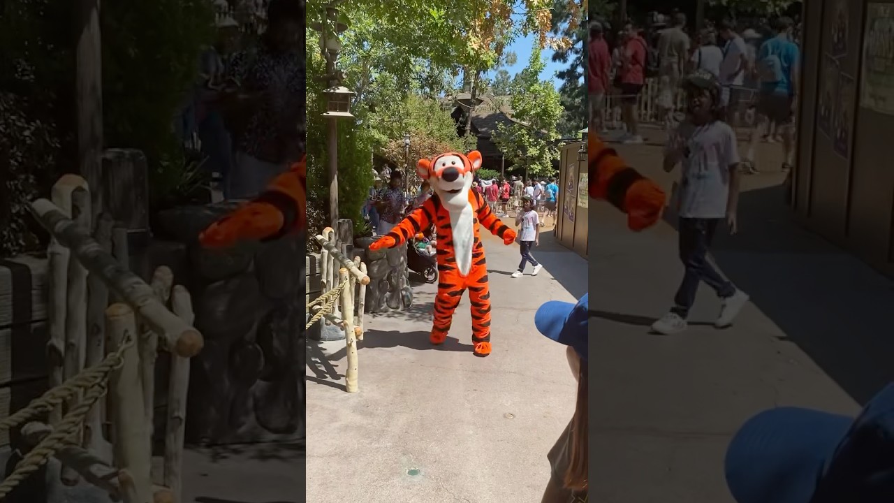Tigger are you ok?! #tigger #disney #disneyland #winniethepooh
