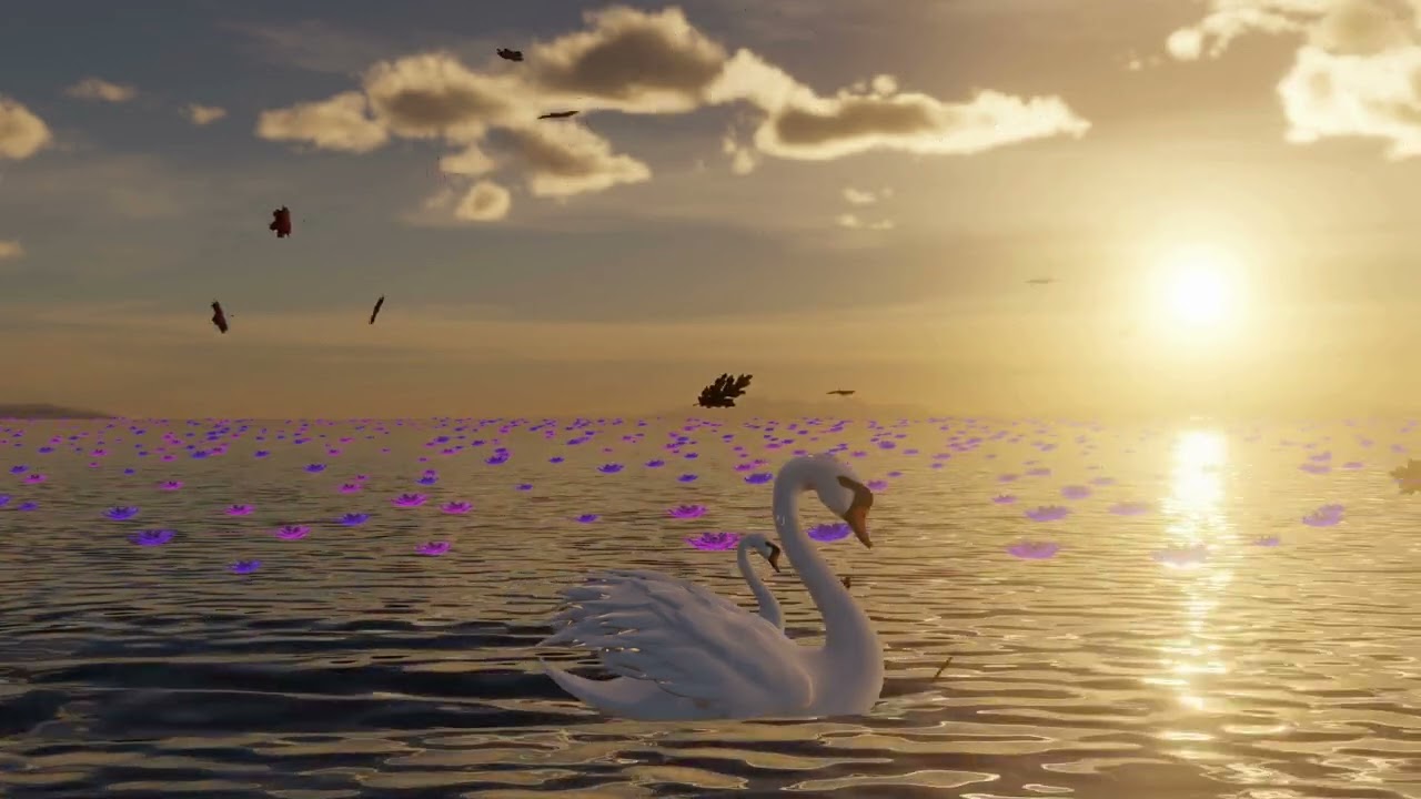15 min Chill loop Beauty Swam music. 