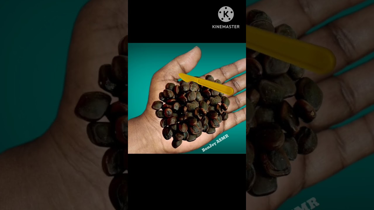 #asmr#asmrrelaxation#asmrsounds#asmrsatisfyingsounds#asmrrelaxingsounds#satisfying#stressrelief