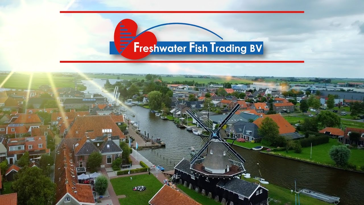 Freshwater Fish Trading