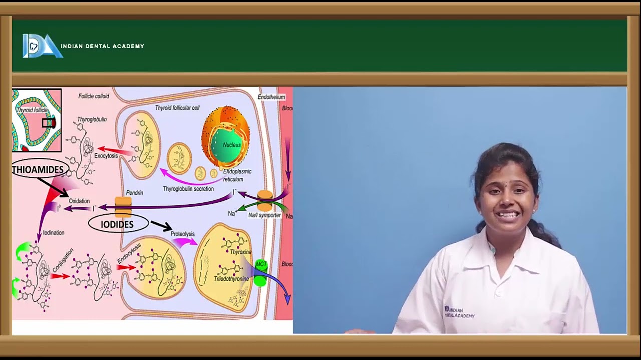 Anti thyroid drugs | Dental pharmacology | Indian Dental Academy