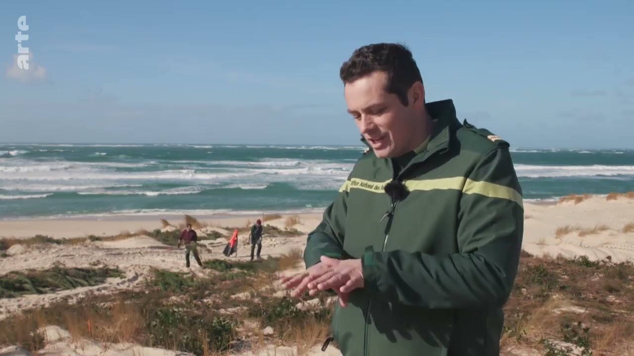 Natur und Tiere D&uuml;nen - Europas wandernde Landschaften [Doku]
