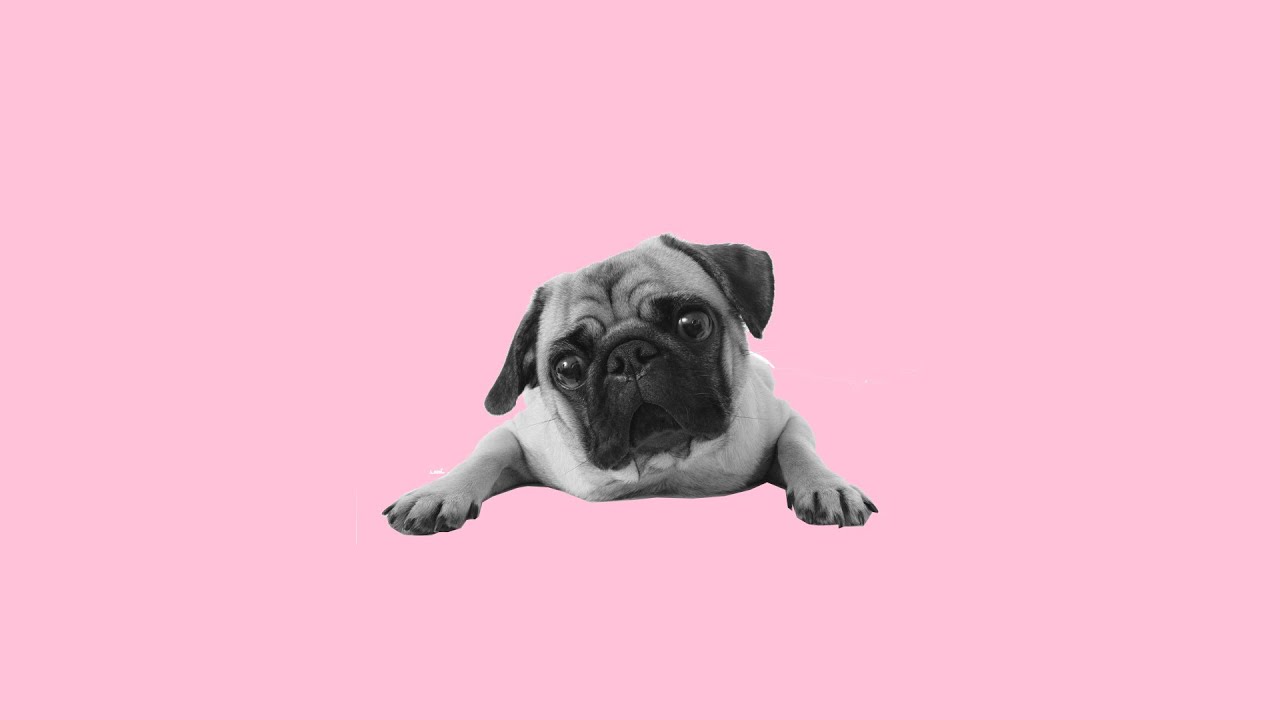 [SOLD] S3RL x LIDA Happy Hardcore Type Beat - 