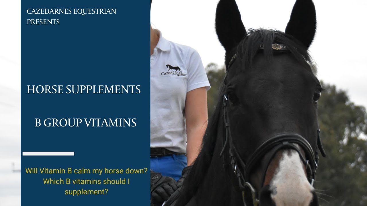 Horse Supplements - B Group Vitamins