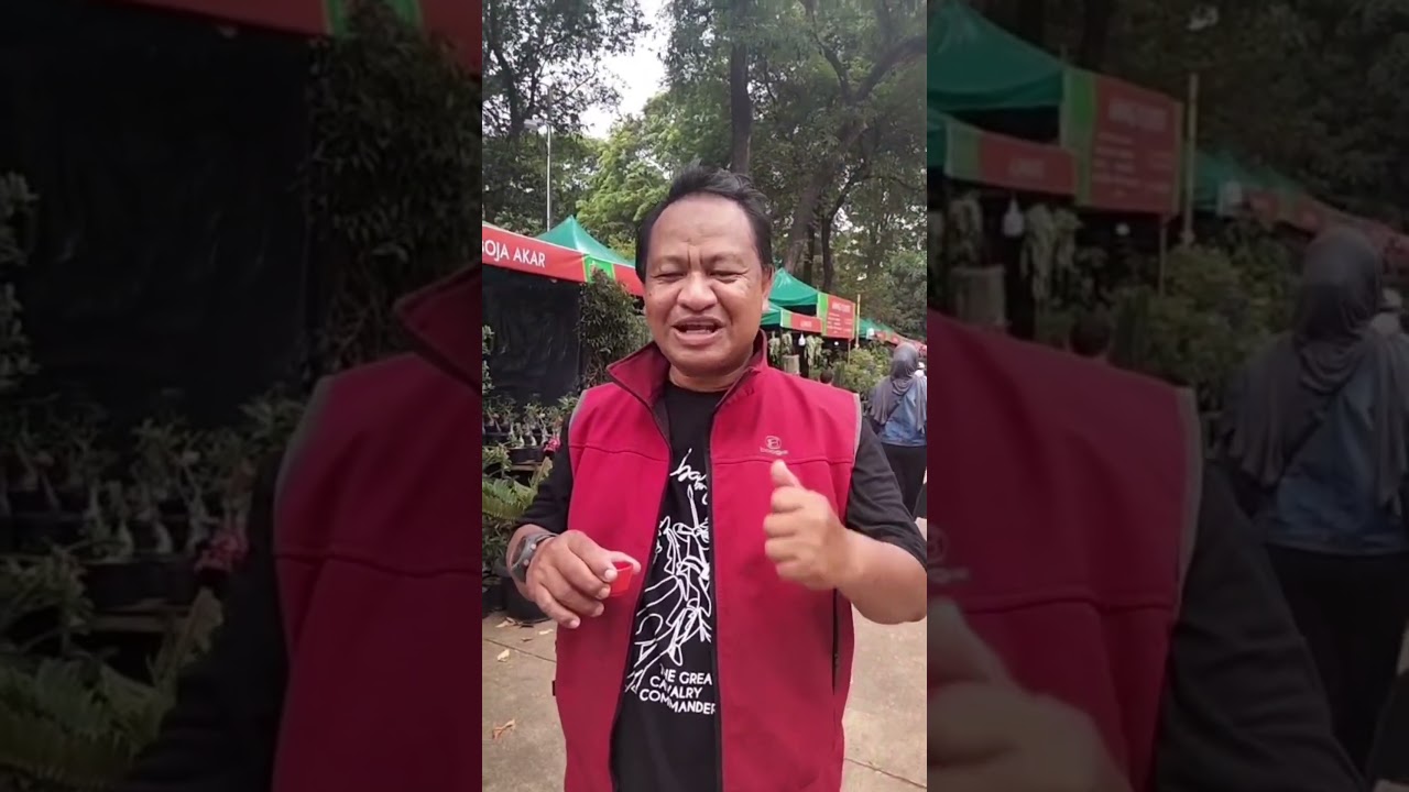 Kambucha Teh 1000 Khasiat