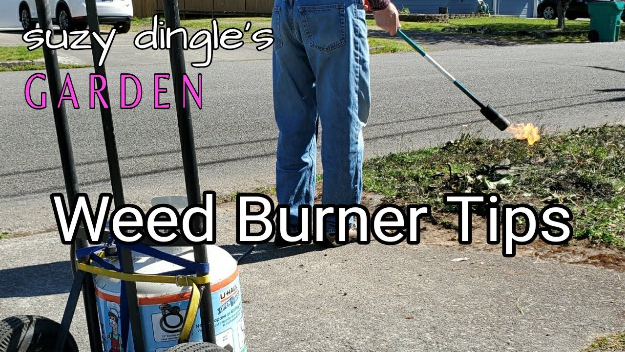 How We Use our Weed Burner - IPM weed management