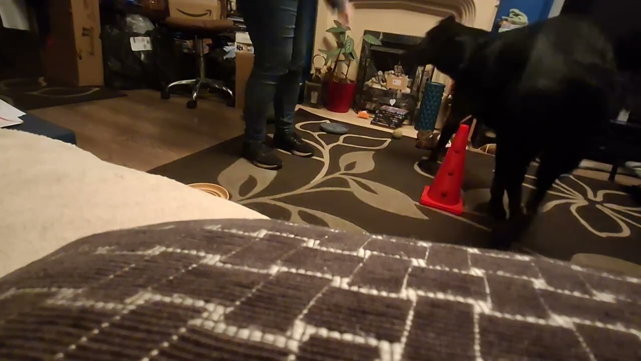 The Cone Game 