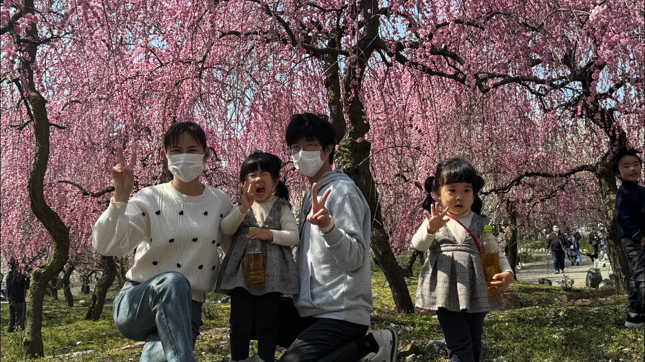 中日家庭vlog/日本老公早餐做了鬆餅、中午帶我們去看梅花啦
