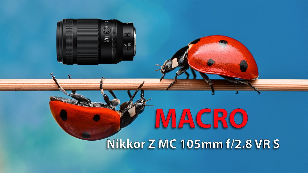 Nikkor Z MC 105mm f/2.8 S