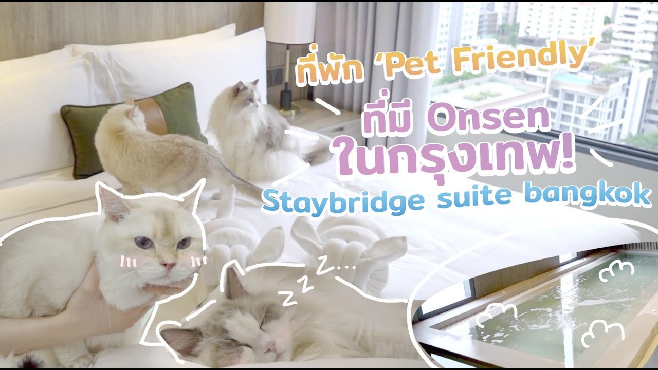 ที่พัก Pet Friendly มี Onsen ในกรุงเทพฯ Staybridge Suite Bangkok