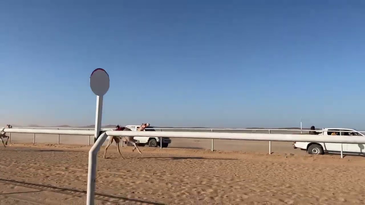 الشوط الثاني قعدان١٥٠٠مبلش ل محمد سالم بن شتيان الحويطي التوقيت ٢/١٩
