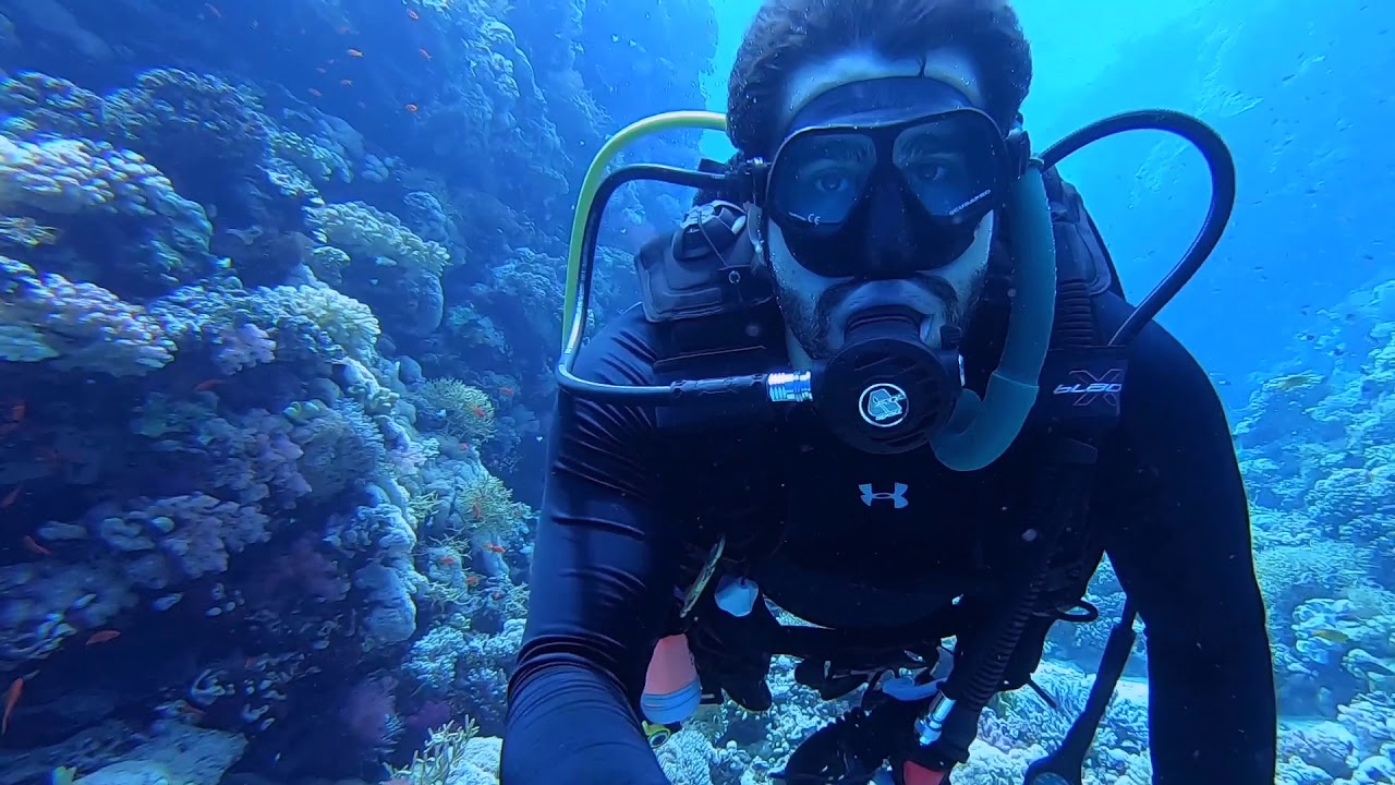 Underwater and Chill ~ Yanbu 2019 Saudi National Day Dive