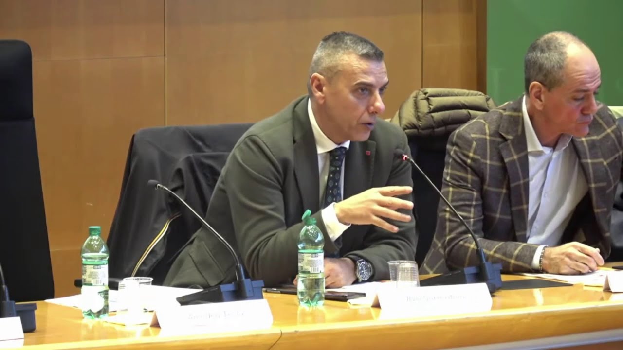 Intervento Ilvo Sorrentino. Presentazione Survey E-Distribuzione