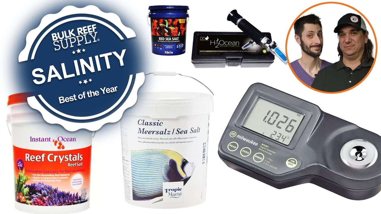 Best of the Year: Salinity Is Key for Saltwater Aquariums & THESE Are the Best Ways to Test for It!
