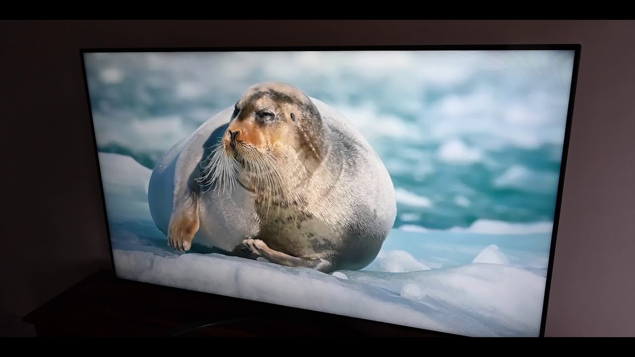 LG TV 65 Inch 4K - Watch THIS before you buy a Nanocell TV!