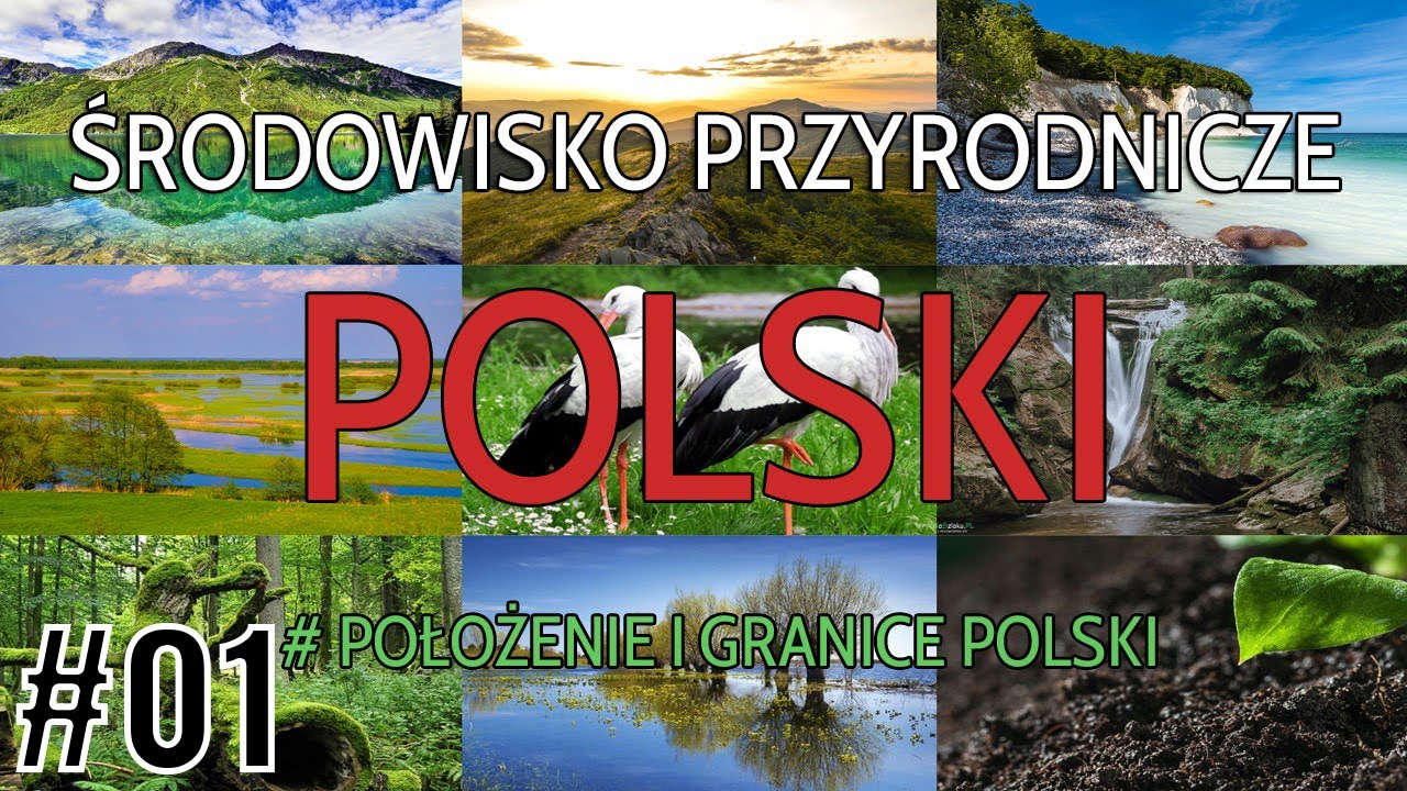 #01 Położenie i granice Polski (GEOGRAFIA POLSKI)