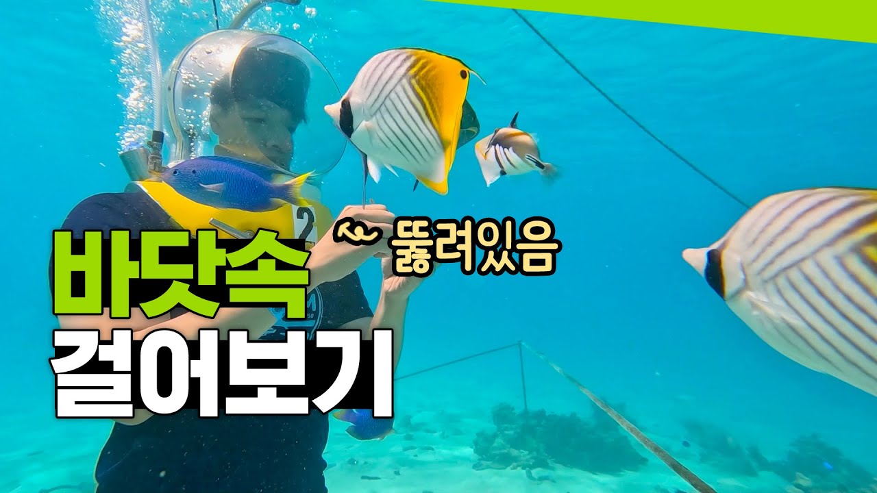 사이판 여행가면 무조건 한다는 2가지ㆍ마나가하섬, 그로토 동굴 투어
