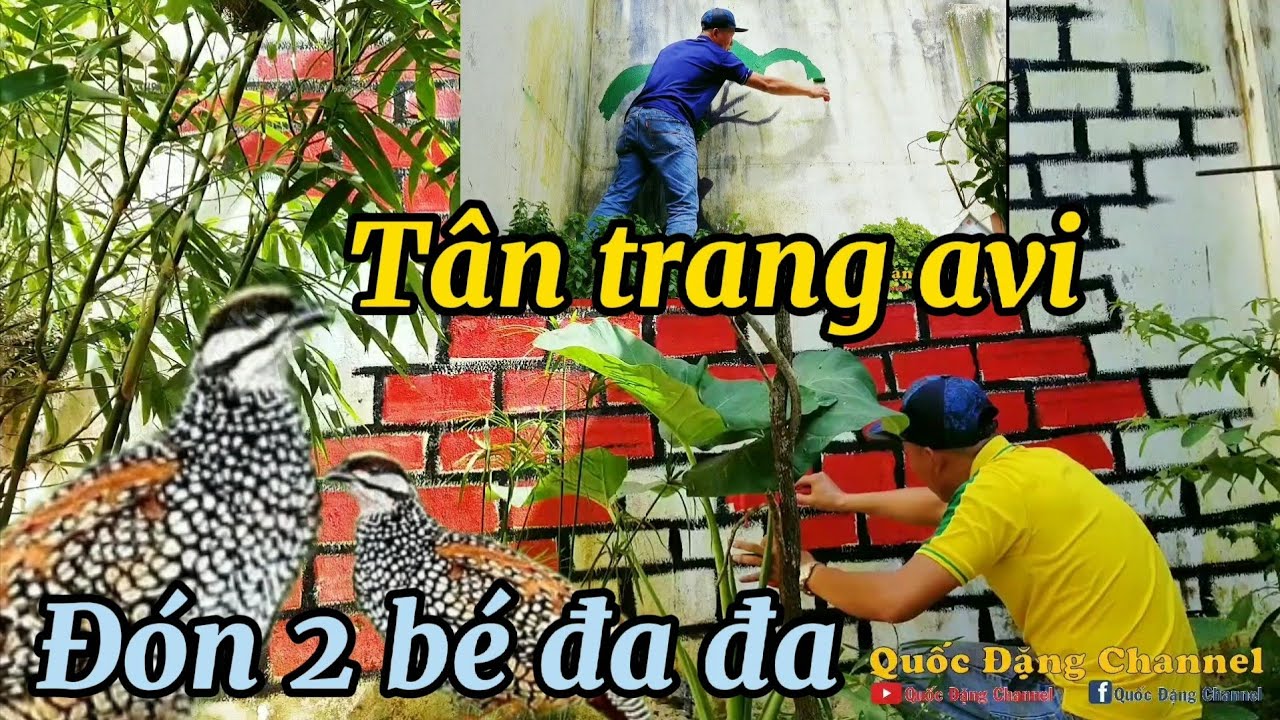 Trang tr&iacute; avi chim cảnh v&agrave; c&oacute; th&ecirc;m th&agrave;nh vi&ecirc;n mới CHIM ĐA ĐA