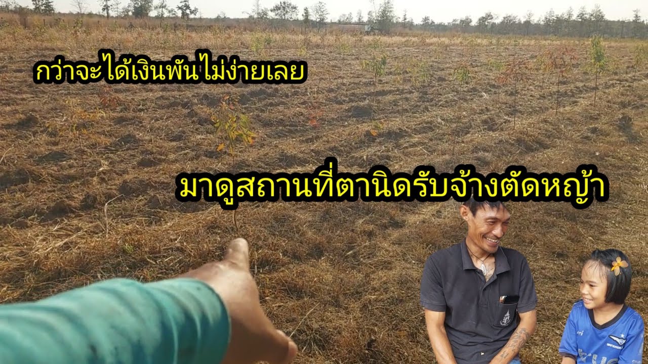 มาดูสถานที่พ่อโมจิ มารับจ้างตัดหญ้า สวนยูคา#จิตอาสา 