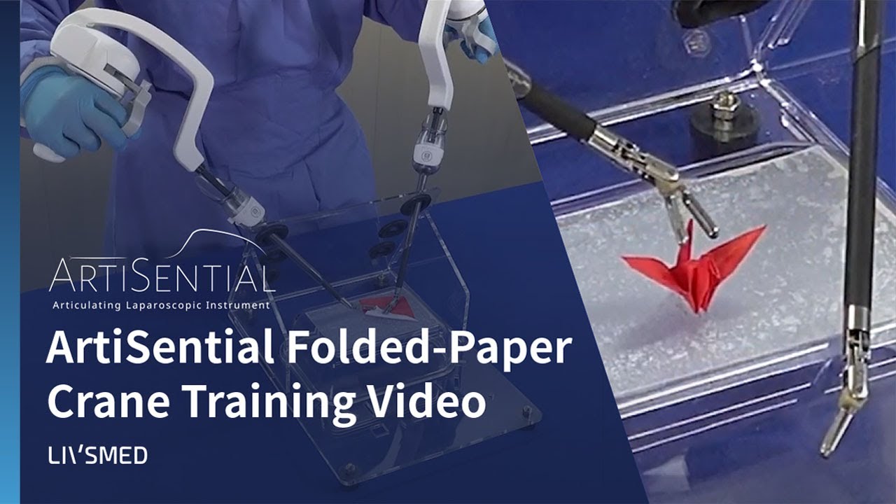 ArtiSential Origami Crane Training Video