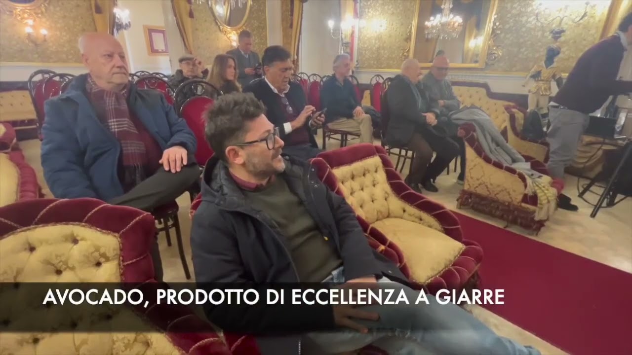Pocket News 29 Dicembre 2025