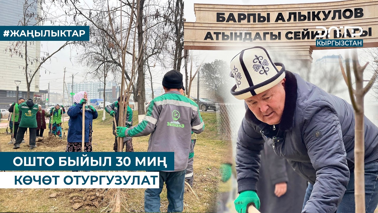 ОШТО БЫЙЫЛ 30 МИҢ КӨЧӨТ ОТУРГУЗУЛАТ