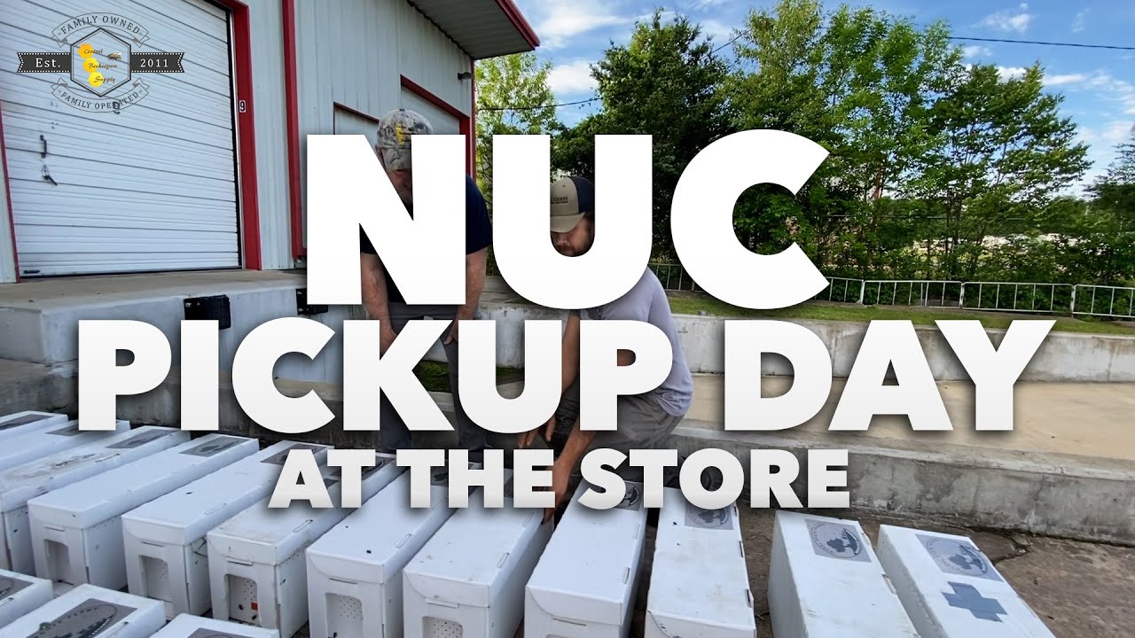 День выдачи ядерных материалов в магазине | Встреча с местными пчеловодами [Прогулка по магазину ...