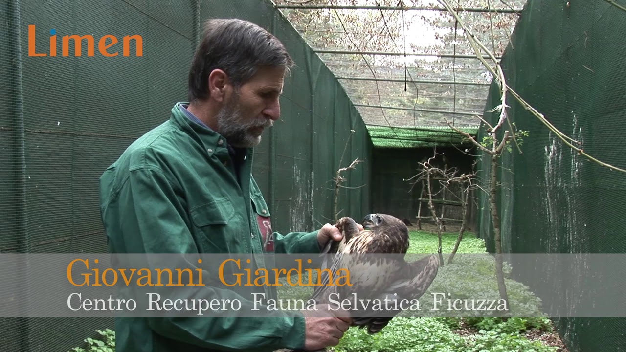 Il Centro di Recupero della  Fauna Selvatica di Ficuzza