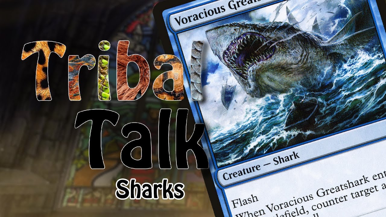 Tribal Talk | Episode 7 | Sharks