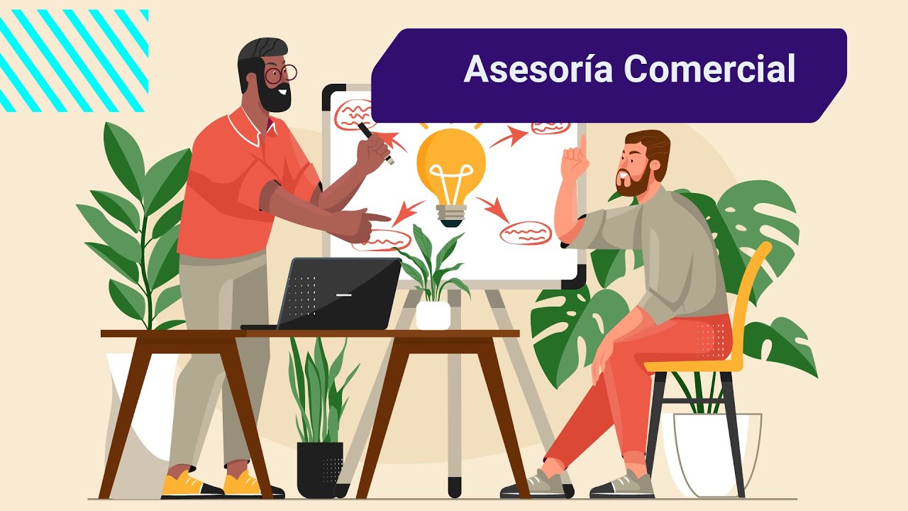 Asesor&iacute;a Comercial